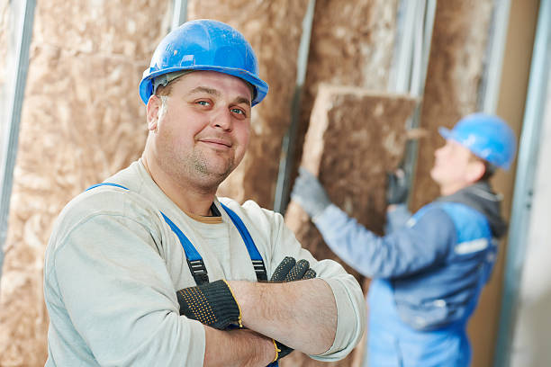 Best Types of Insulation in Red Chute, LA